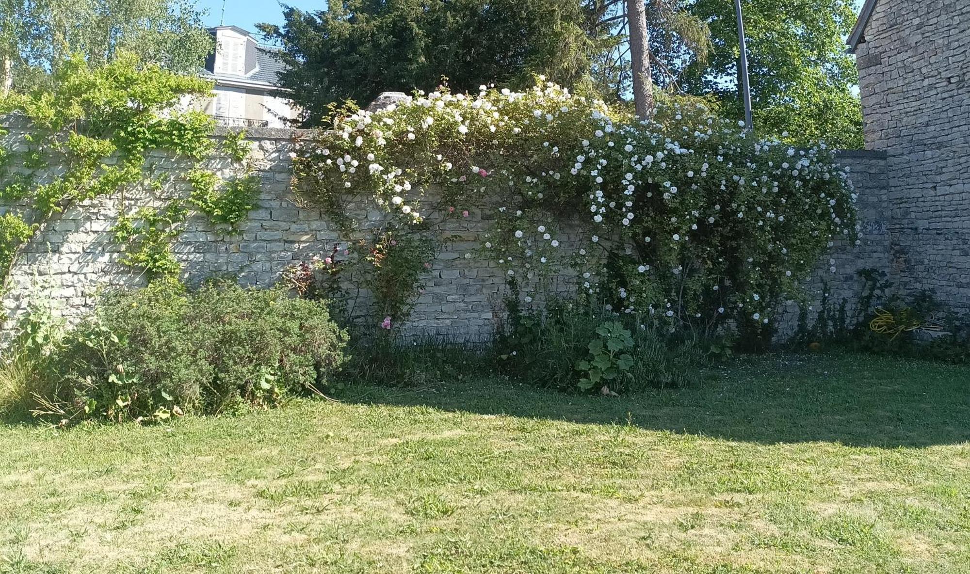 Bed and Breakfast chez Zaza à Stigny Extérieur photo